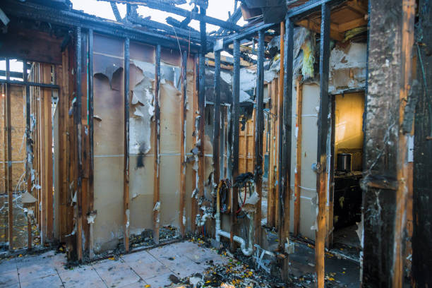 Professional Fire Damage Assessment technician working in Renville, MN